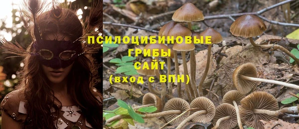мескалин Арсеньев